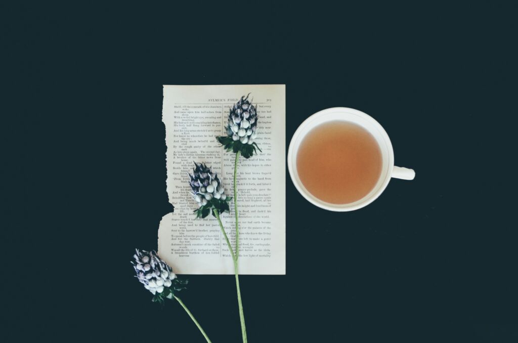 debby hudson fo4gzqi2t84 unsplash